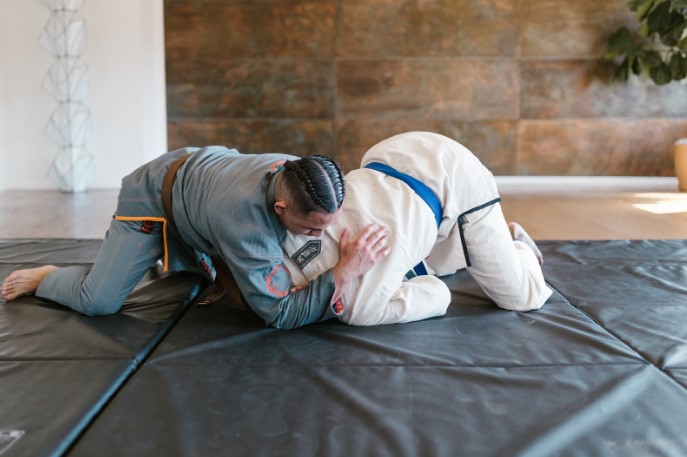 боевые искусства